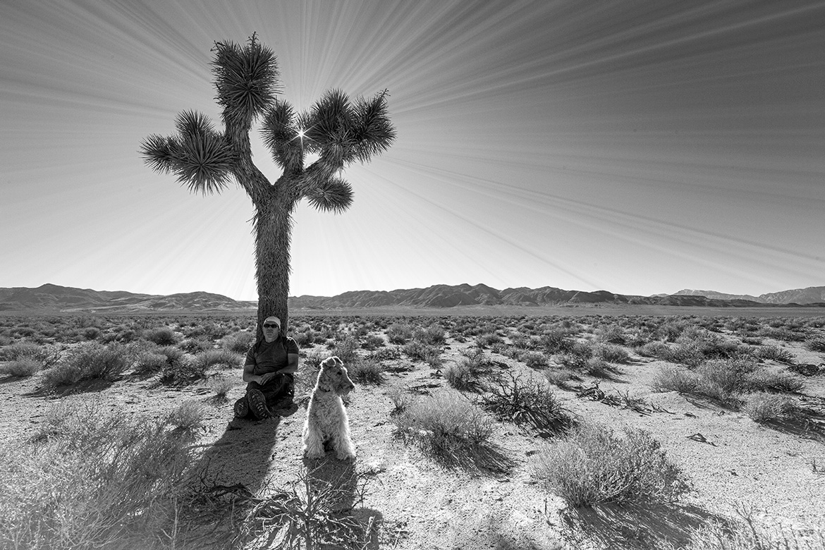 chris wessling baxter coso wilderness